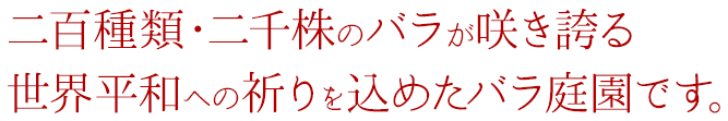 二百種類・二千株のバラが咲き誇る世界平和への祈りを込めたバラ庭園です。