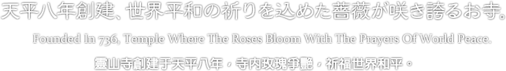 天平八年創建、世界平和の祈りを込めた薔薇が咲き誇るお寺。Founded In 736, Temple Where The Roses Bloom With The Prayers Of World Peace.